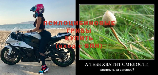 mix Богородск
